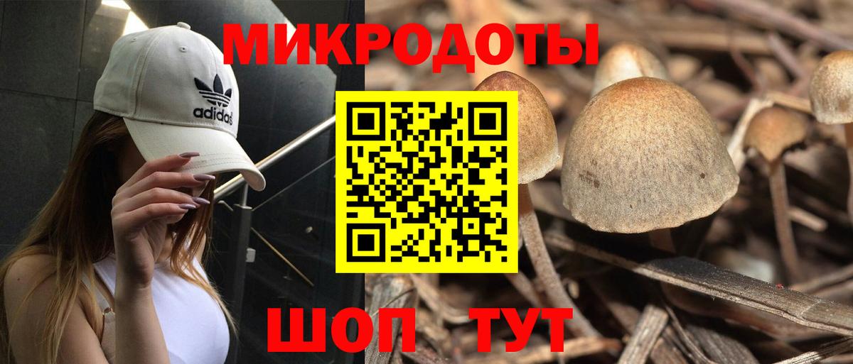 Нарткала  Псилоцибиновые грибы мицелий  Вход с VPN 